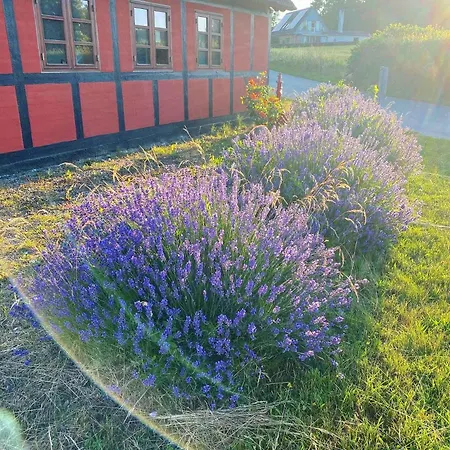 Charming In The Hc Andersen Style * Frorup